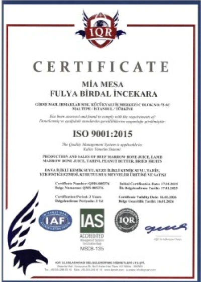 ISO 9001