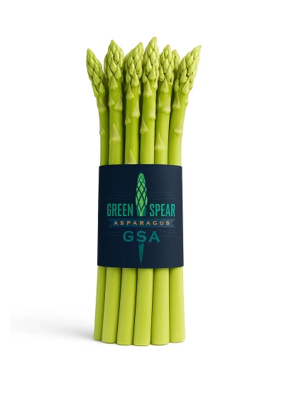 Taze Kuşkonmaz Paketi (5 Paket – 1500 gr)