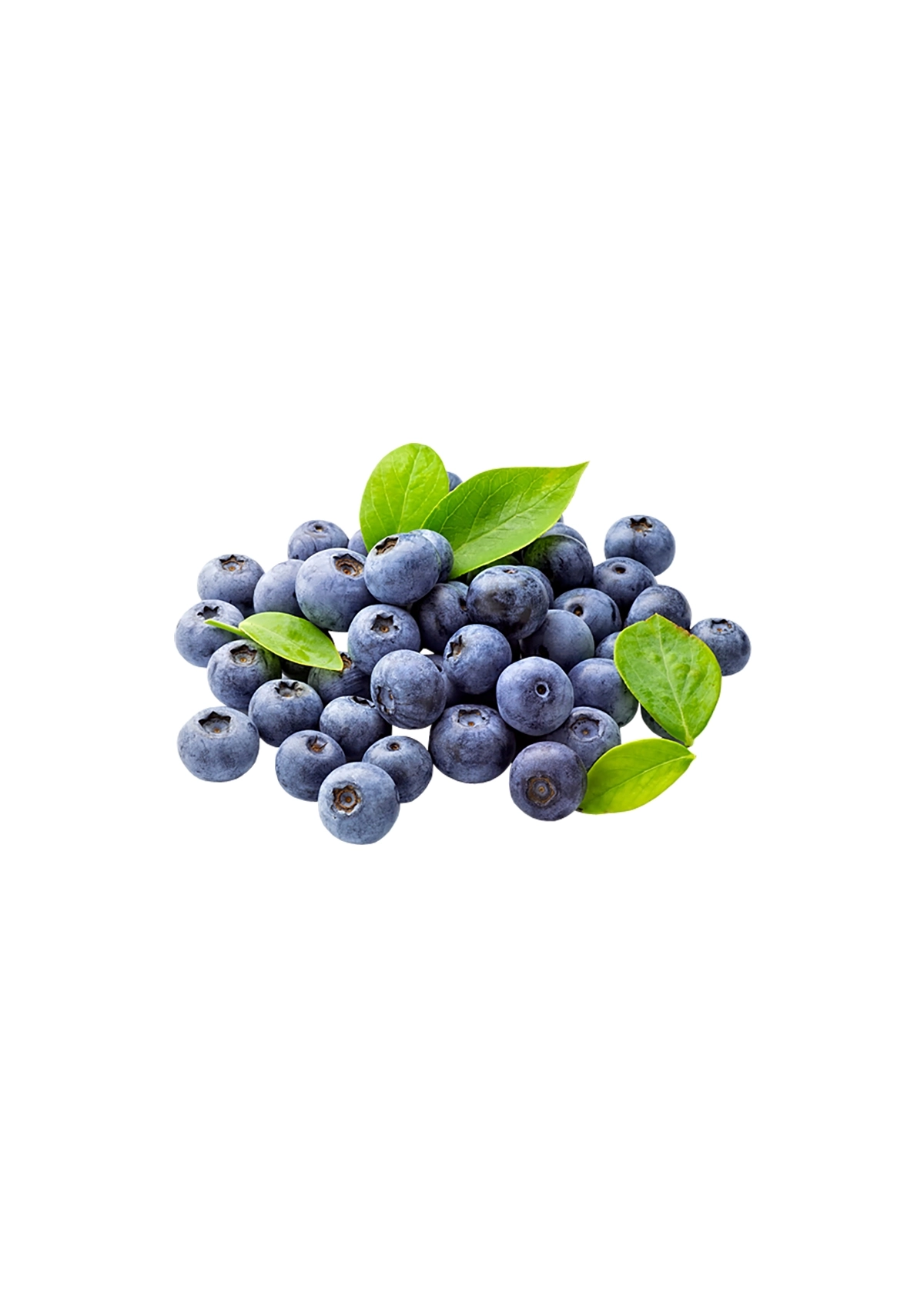 Yaban Mersini 3 kg (6 x 500 gr)