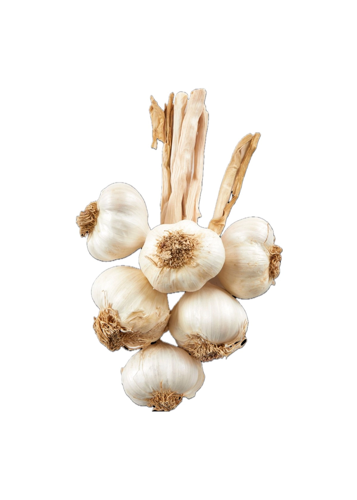 Taşköprü Sarımsağı Orta Boy 1 Kg