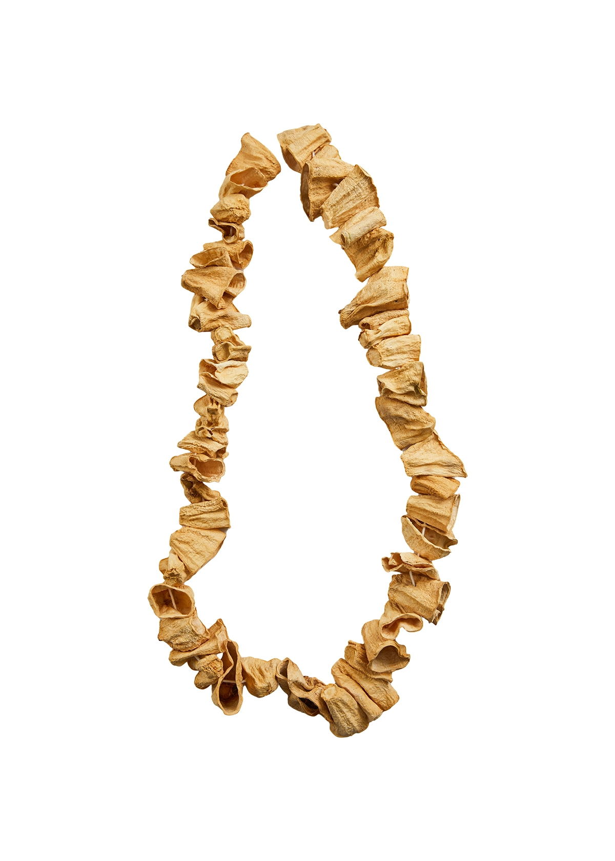 Güneşte Kurutulmuş Kabak – 1 İp (50 Adet)