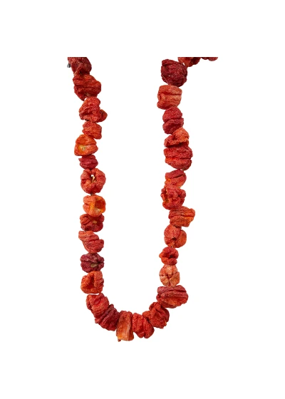 Güneşte Kurutulmuş Kuru Kırmızı Biber – 1 İp (45–50 Adet)